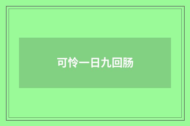 可怜一日九回肠