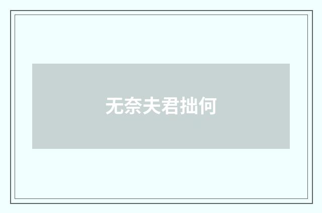 无奈夫君拙何