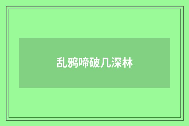 乱鸦啼破几深林