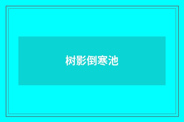 树影倒寒池