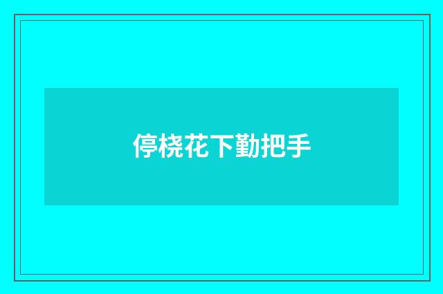停桡花下勤把手