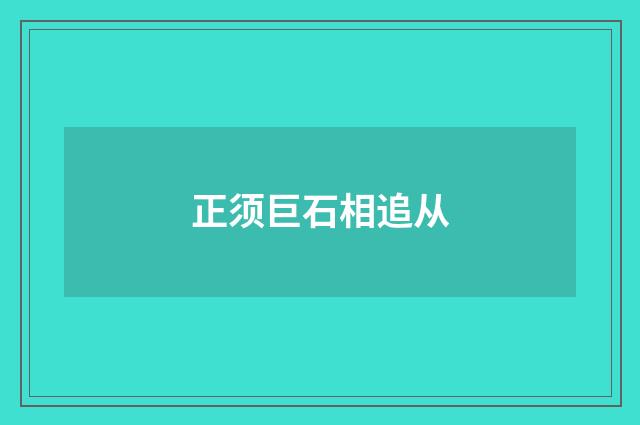 正须巨石相追从