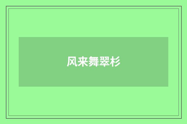 风来舞翠杉