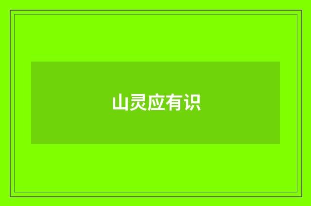 山灵应有识