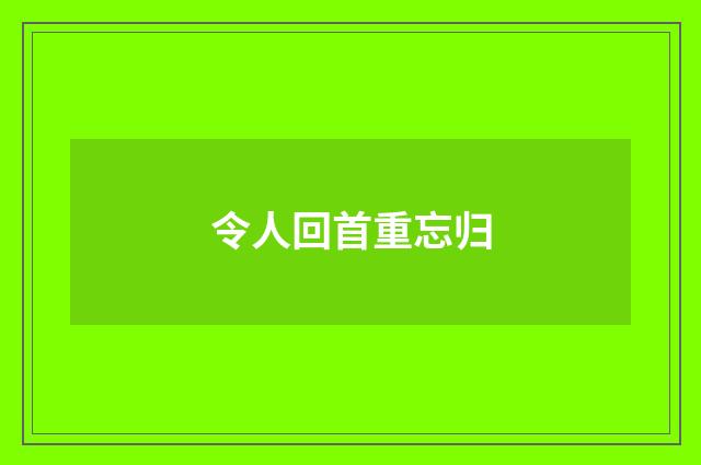 令人回首重忘归