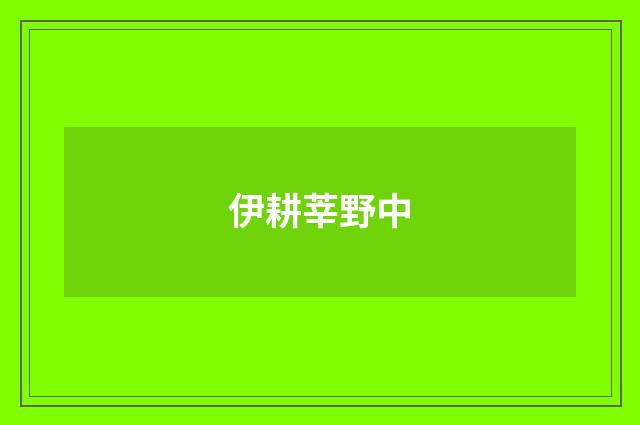 伊耕莘野中