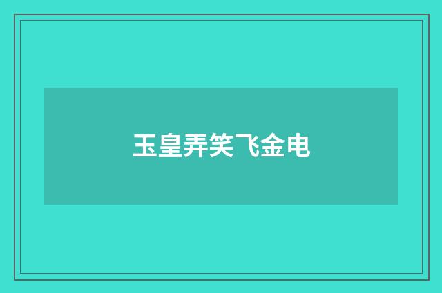 玉皇弄笑飞金电