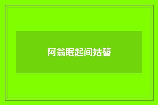 阿翁眠起间姑簪