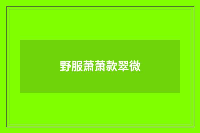 野服萧萧款翠微