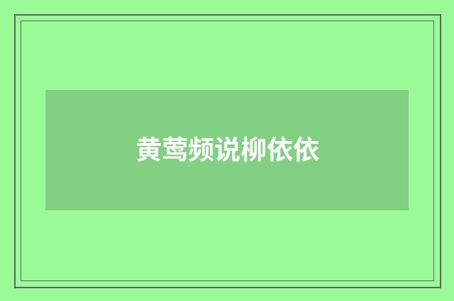 黄莺频说柳依依