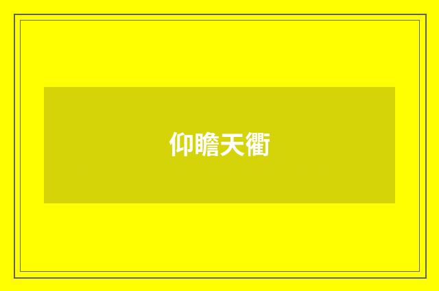 仰瞻天衢