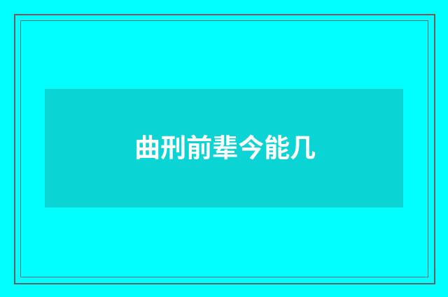 曲刑前辈今能几