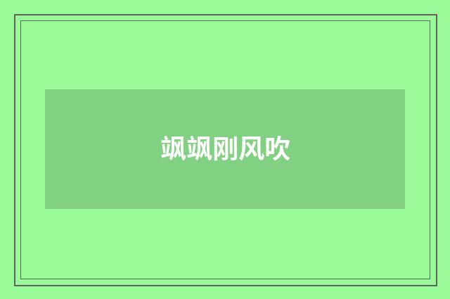 飒飒刚风吹