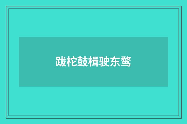 跋柁鼓楫驶东鹜