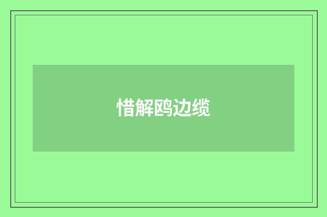 惜解鸥边缆