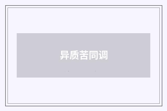 异质苦同调