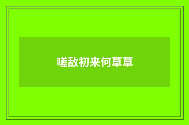 嗟敌初来何草草