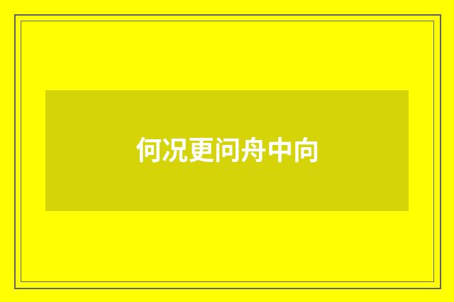 何况更问舟中向