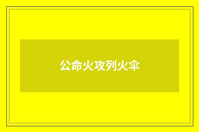 公命火攻列火伞