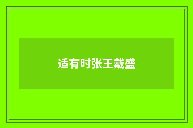 适有时张王戴盛