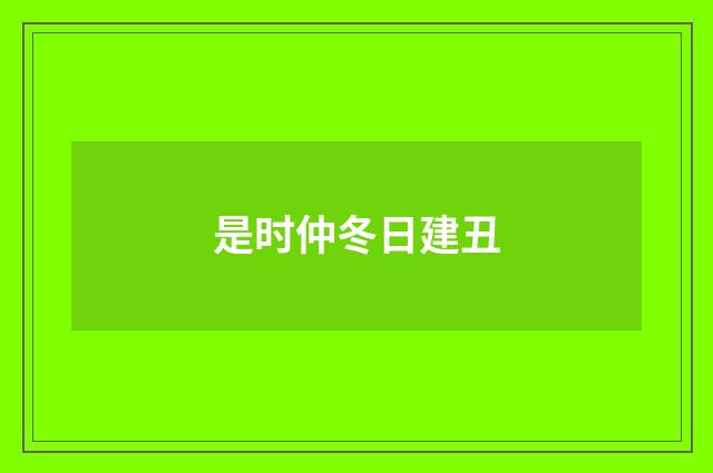 是时仲冬日建丑