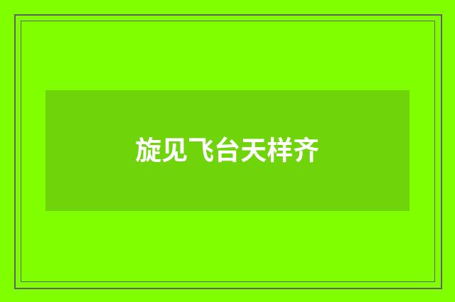 旋见飞台天样齐