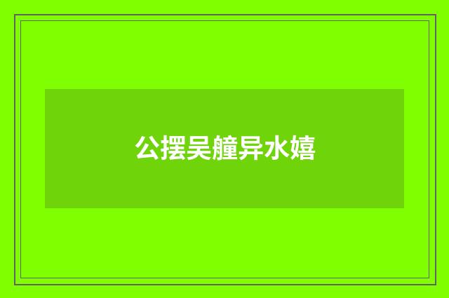 公摆吴艟异水嬉