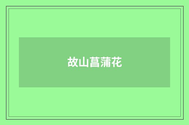 故山菖蒲花