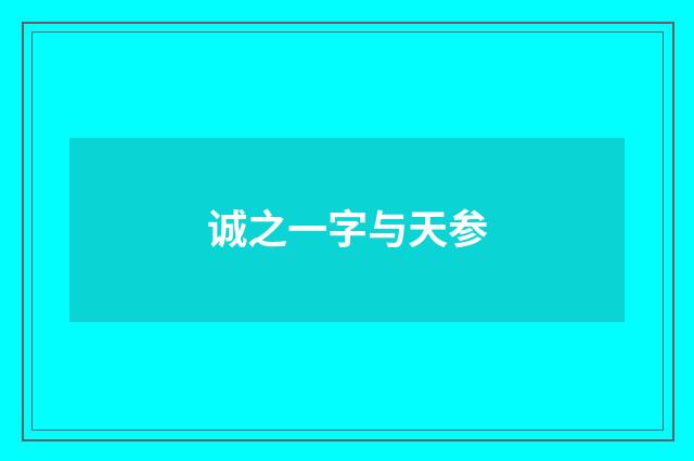 诚之一字与天参