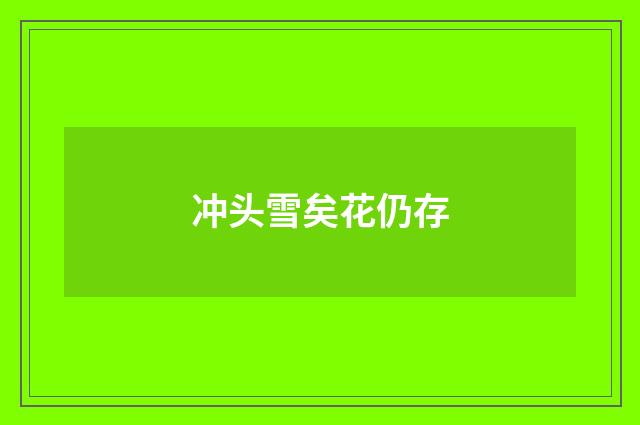 冲头雪矣花仍存