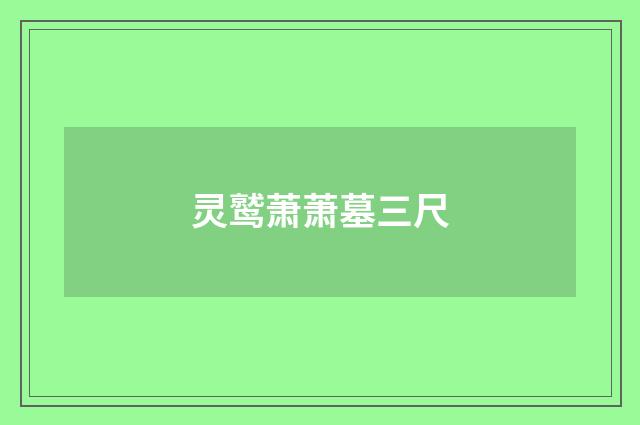 灵鹫萧萧墓三尺