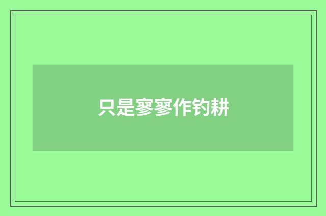 只是寥寥作钓耕