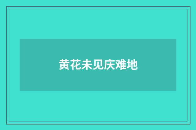 黄花未见庆难地