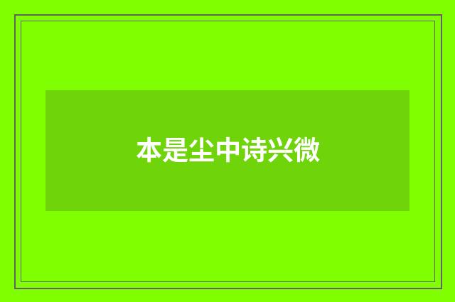 本是尘中诗兴微