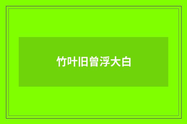 竹叶旧曾浮大白