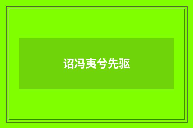 诏冯夷兮先驱