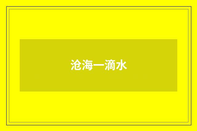 沧海一滴水