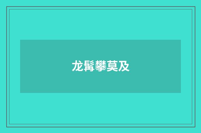 龙髯攀莫及