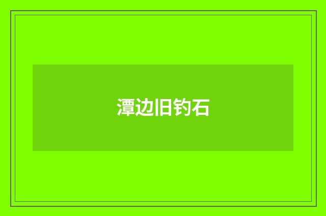 潭边旧钓石