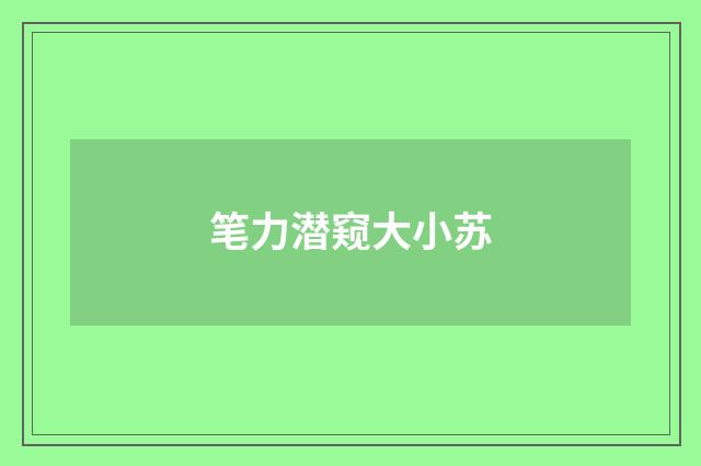笔力潜窥大小苏