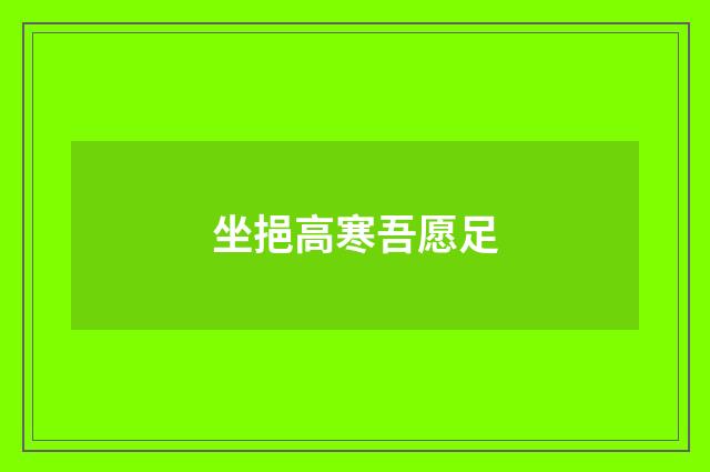 坐挹高寒吾愿足