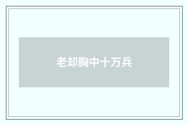 老却胸中十万兵