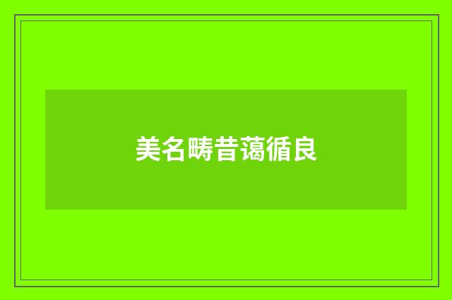 美名畴昔蔼循良