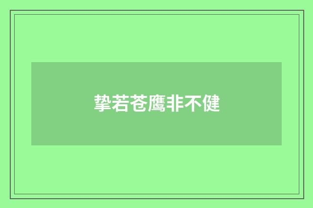 挚若苍鹰非不健