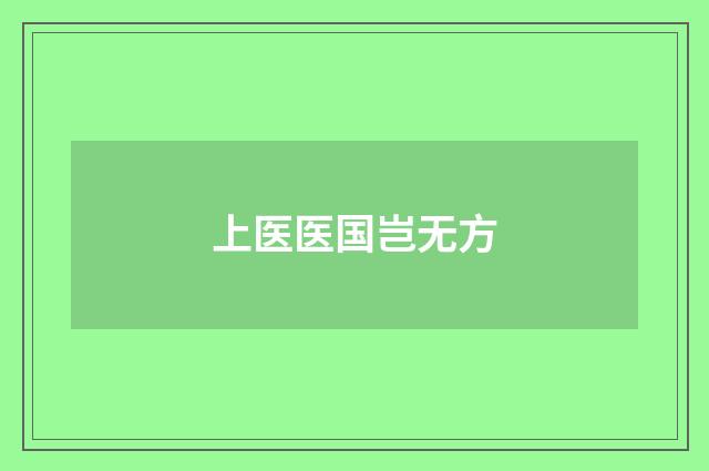 上医医国岂无方