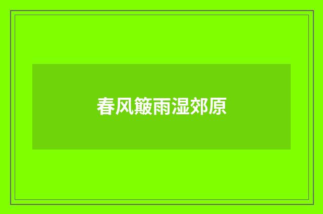春风簸雨湿郊原
