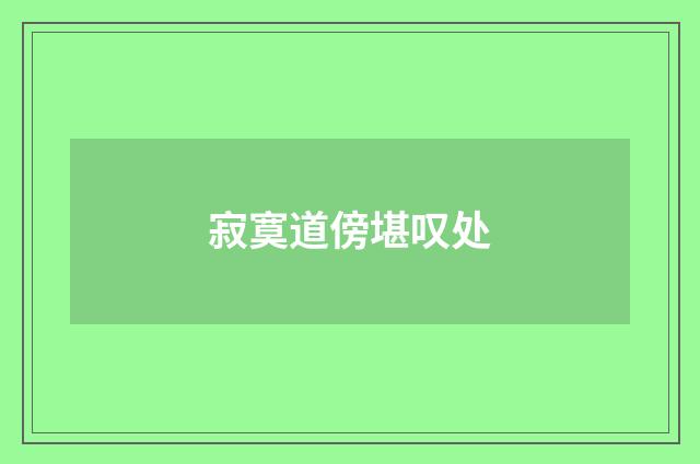 寂寞道傍堪叹处
