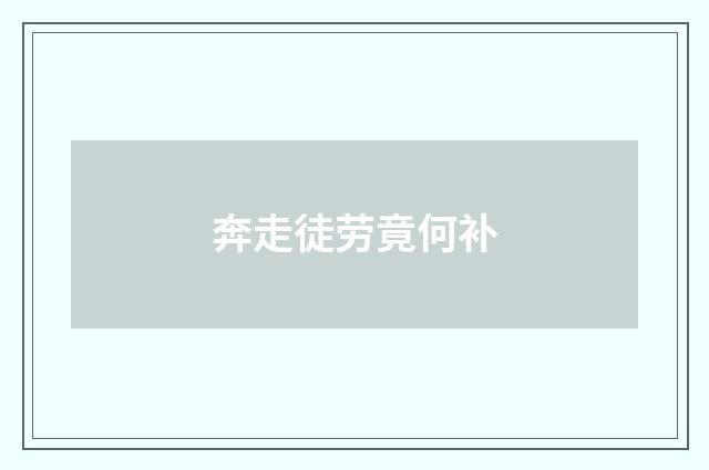 奔走徒劳竟何补