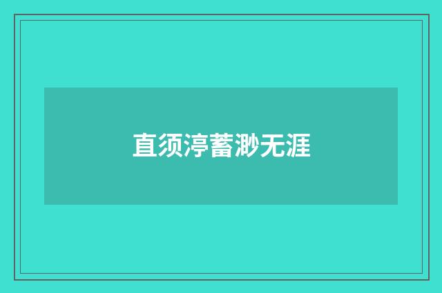 直须渟蓄渺无涯