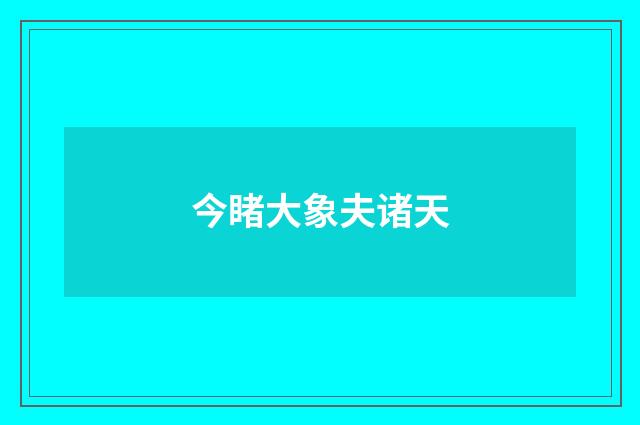 今睹大象夫诸天